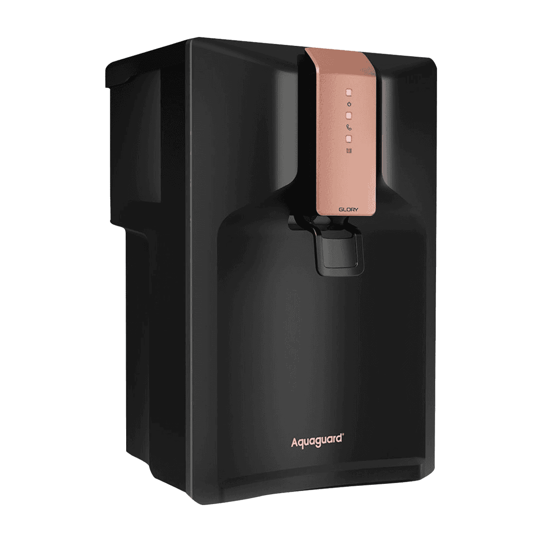 Water filter and purification